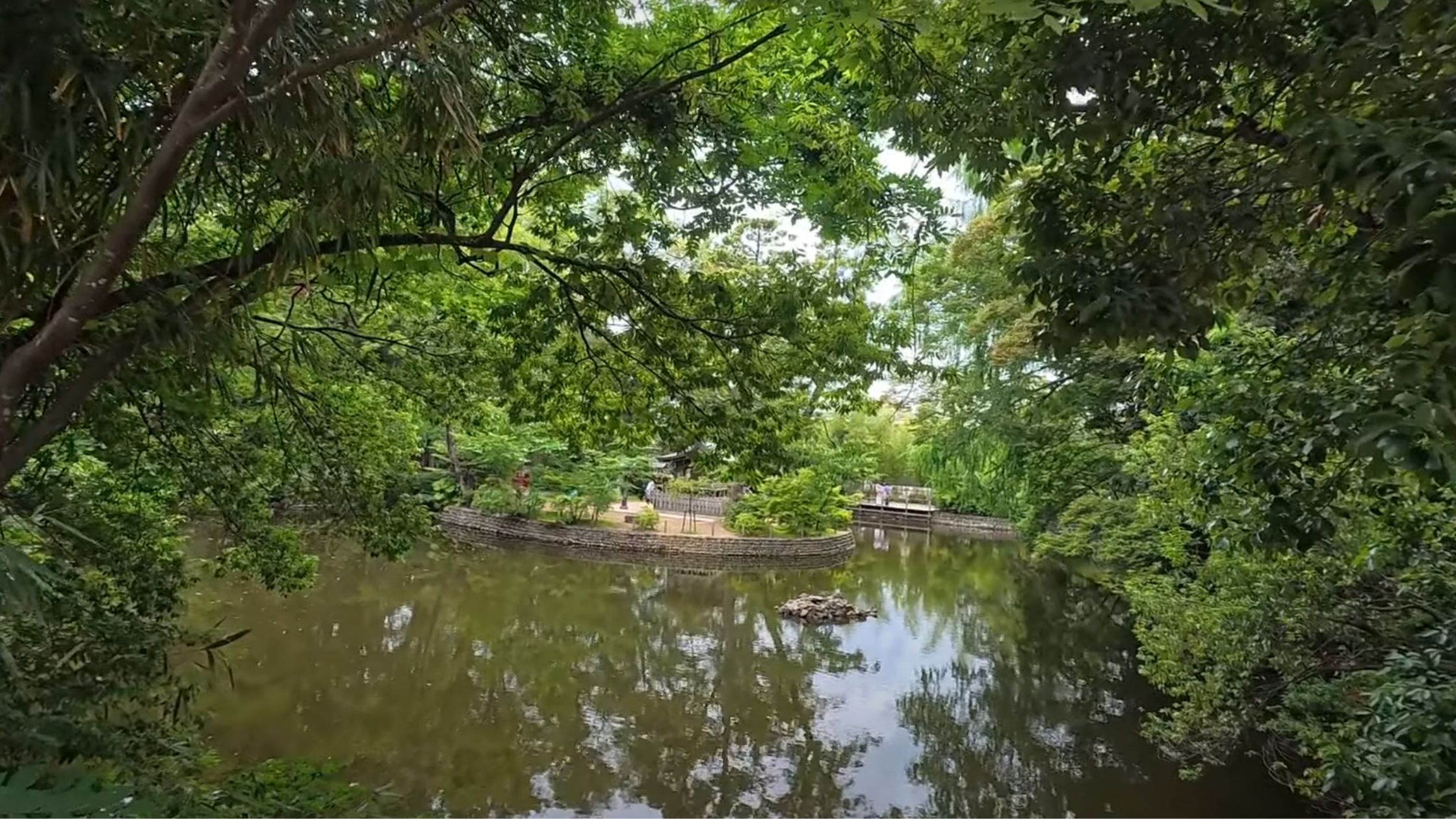 大宮氷川神社：神池