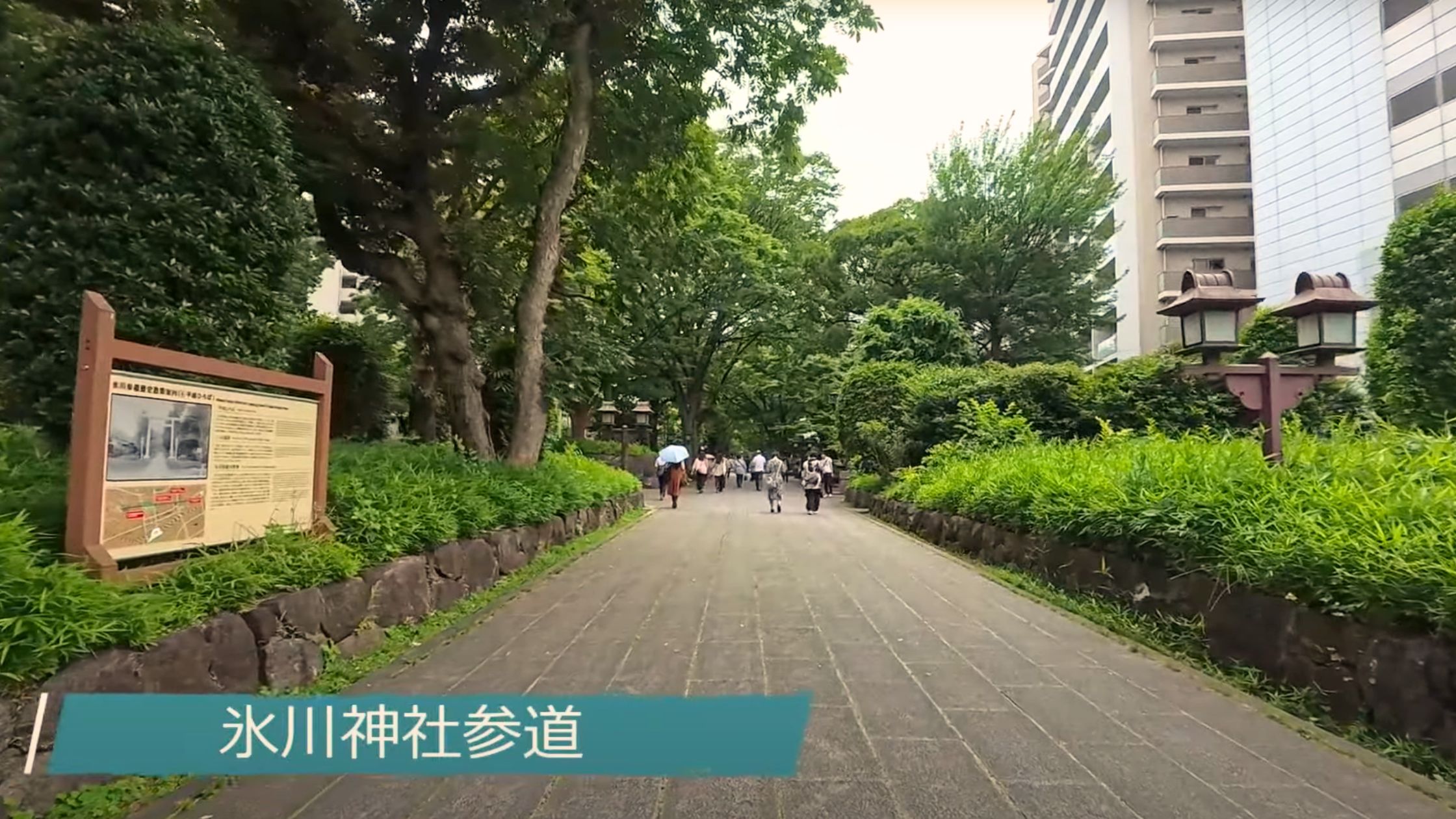 大宮氷川神社参道