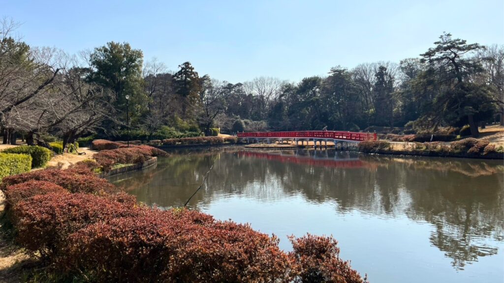 岩槻城址公園：菖蒲池