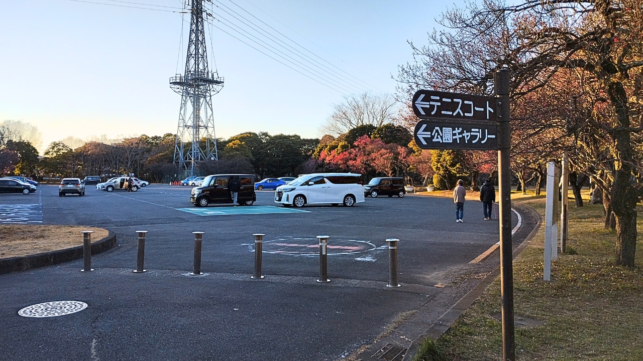 大宮第二公園：駐車場