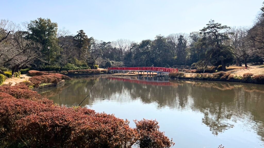 岩槻城址公園：菖蒲池