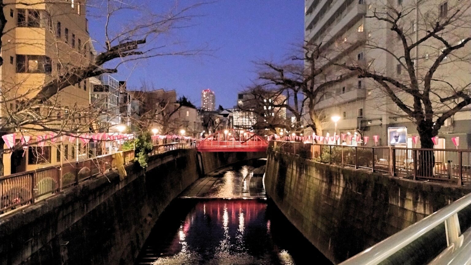 中目黒桜祭り2025開催日はいつ?会場までのアクセスや桜の見頃・屋台・ライトアップ情報を写真解説 - れきちり散歩