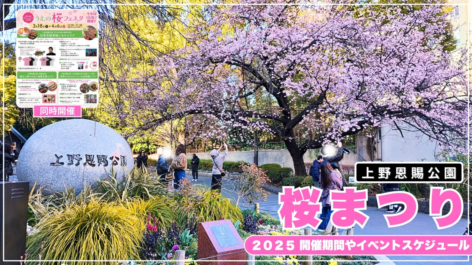 中目黒桜祭り2025開催日はいつ?会場までのアクセスや桜の見頃・屋台・ライトアップ情報を写真解説 - れきちり散歩