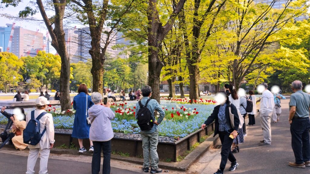 日比谷公園ネモフィラ花壇前(2025年4月18日撮影)