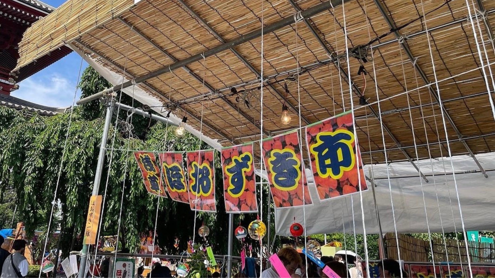 浅草寺四万六千日「ほおずき市」